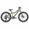 Scott Roxter 20'' Kinder MTB Fahrrad Silberfarben 2023 1 Scott Roxter 20'' Kinder MTB Fahrrad Silberfarben 2023 -Günstiges E-Citybikes Geschäft 290752
