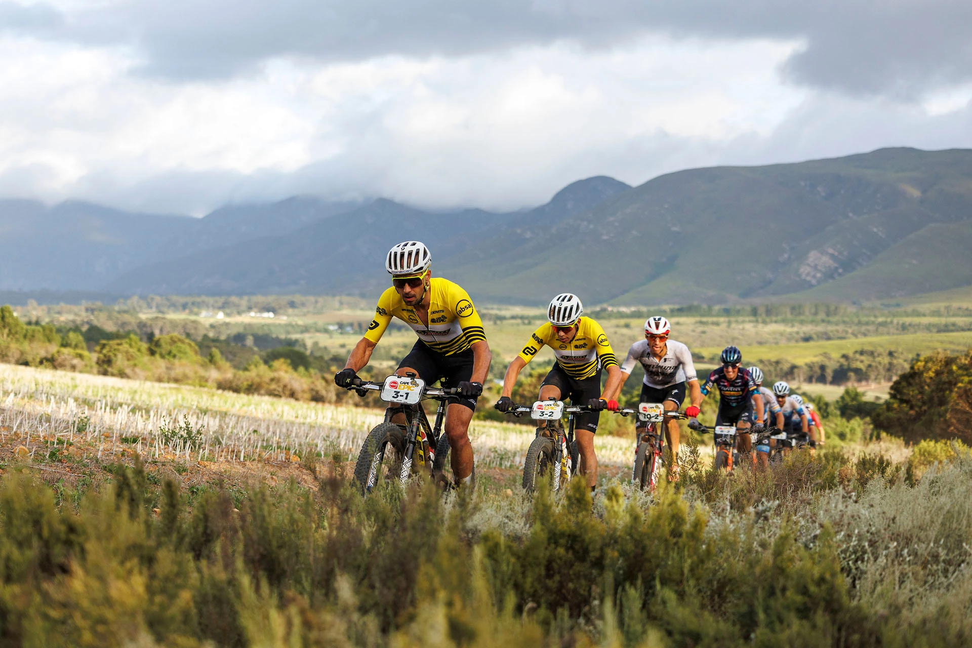 Günstiges E-Citybikes Geschäft -Günstiges E-Citybikes Geschäft 330290278 894444028502740 4920494374835989780 n