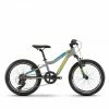 Haibike Seet Greedy SF 20"Kinder Fahrrad Grau/gelb/blau 2021 1 Haibike Seet Greedy SF 20"Kinder Fahrrad Grau/gelb/blau 2021 -Günstiges E-Citybikes Geschäft HAIBIKEMY19SEETGREEDY20SF