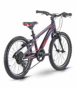 Raymon Tworay 1.0 20'' Kinder Fahrrad Lila 2021 -Günstiges E-Citybikes Geschäft RAY21TwoRay10purpleredbackweb