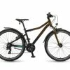Winora Rage 26'' Kinder Fahrrad Schwarz/bronzefarben 2023