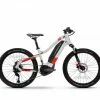 Haibike HardFour 24'' Kinder Kinder Pedelec E-Bike Fahrrad Grau/rot 2021